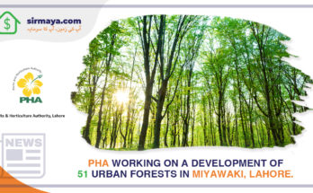 PHA working on 51 Urban forests in Miyawaki, Lahore.