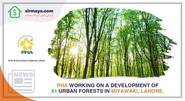 PHA working on 51 Urban forests in Miyawaki, Lahore.