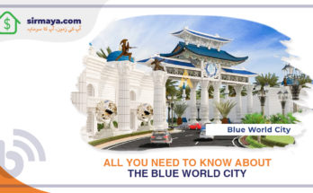 All You Need to Know About the Blue World City