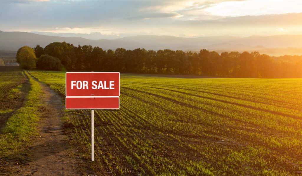 plot for sale