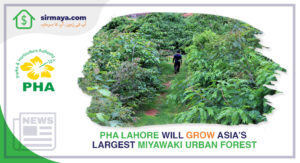 Asia’s Largest Miyawaki Urban Forest