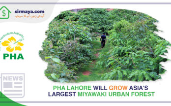 Asia’s Largest Miyawaki Urban Forest