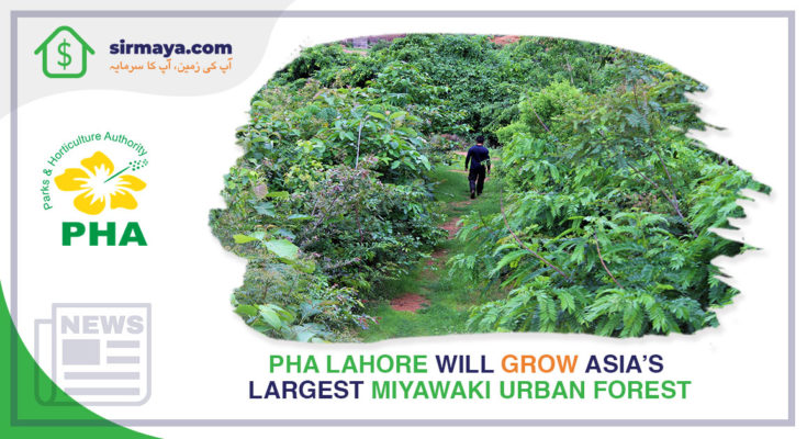 Asia’s Largest Miyawaki Urban Forest