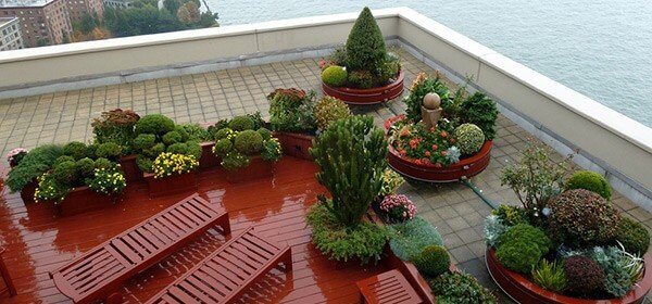 rooftop garden in pakistan